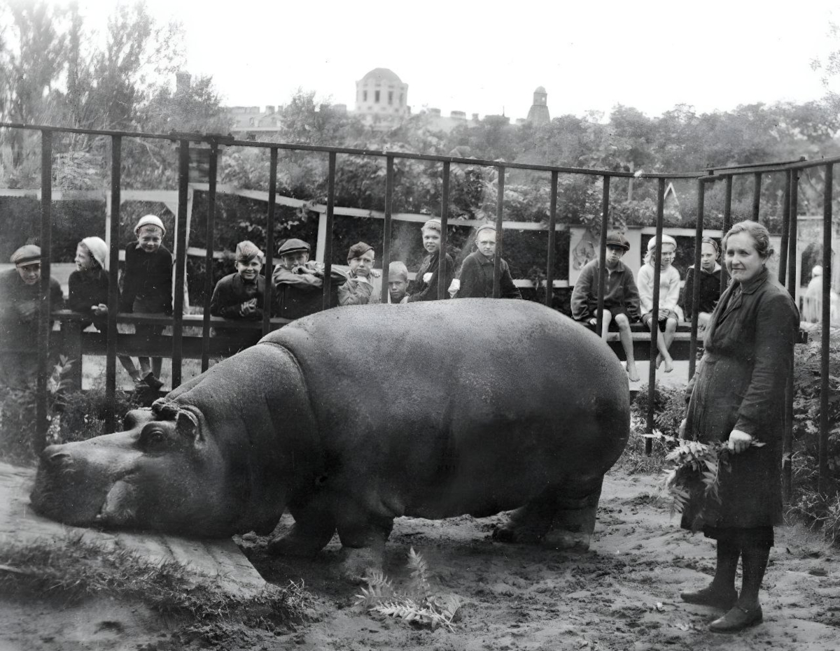 Блокадная Красавица: как две тонны оптимизма спасли ленинградку