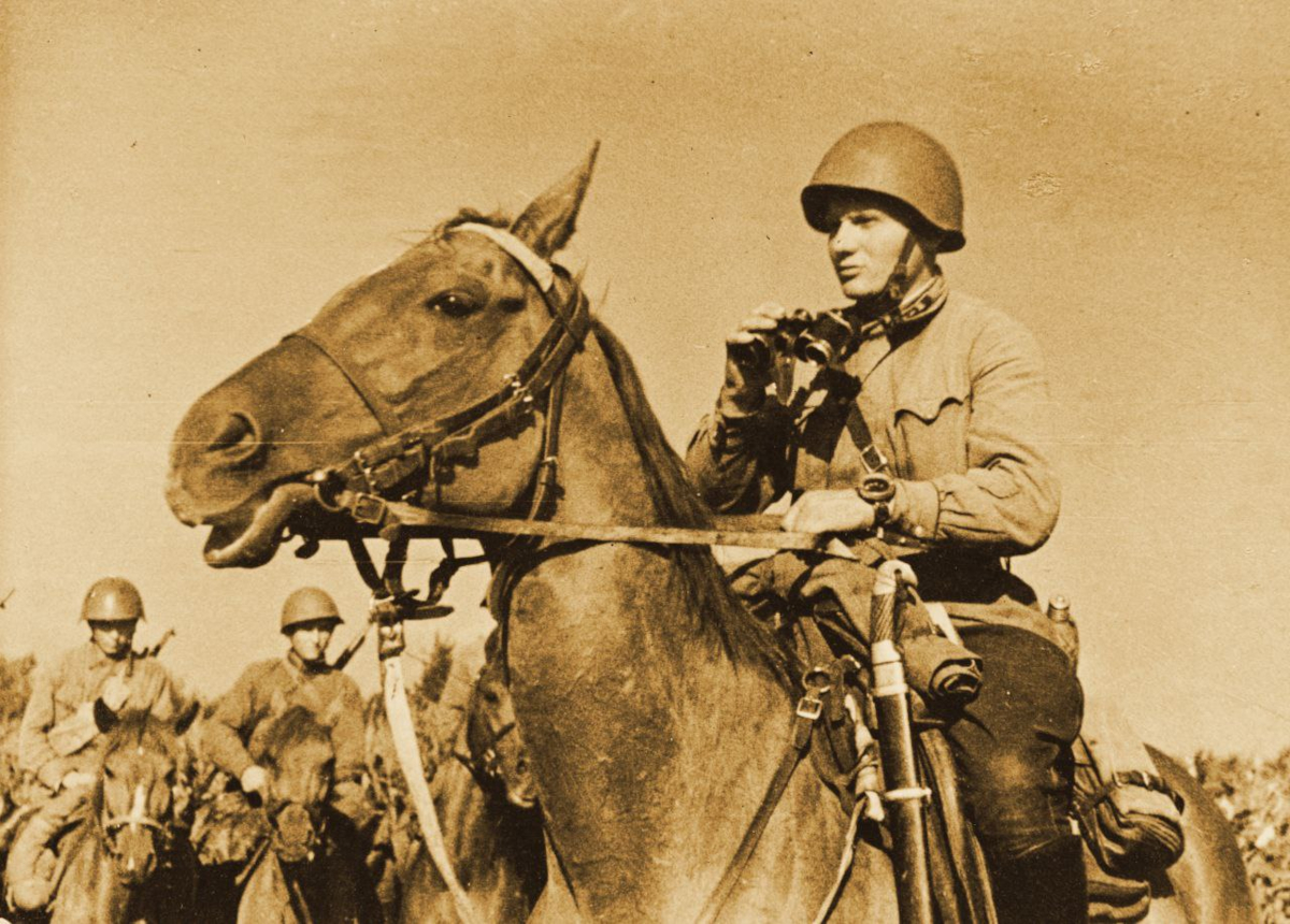 Животные на войне: когда звери были человечнее людей